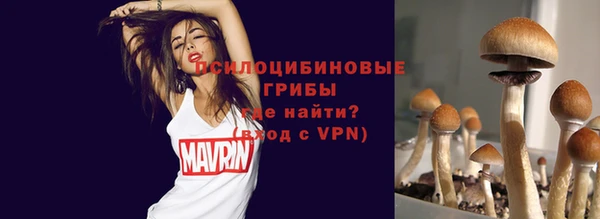 гашик Шарыпово