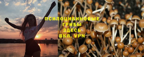 МДМА Шадринск