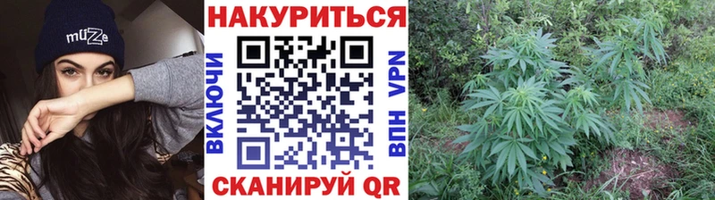купить наркотики цена  Ковров  Шишки марихуана VHQ 